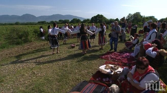 В Ръжена моми и момци нагазиха в розовите масиви