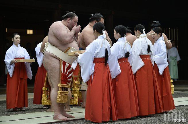 Терунофуджи разби хегемонията на Хакухо