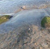 Плаж до Царево забранен за къпане заради мръсна вода