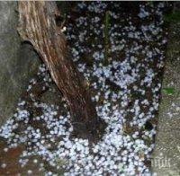 Порой и градушка удариха Благоевград 