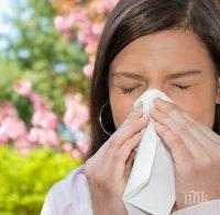 Бум на алергиите в Европа заради глобалното затопляне
