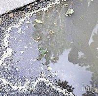 Жълт дъжд шашна столичани