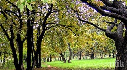 строят парк кучета бургас