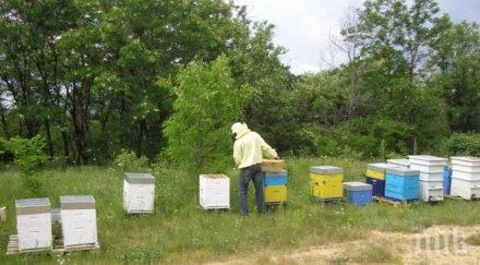 страхувам крадци взеха всичко