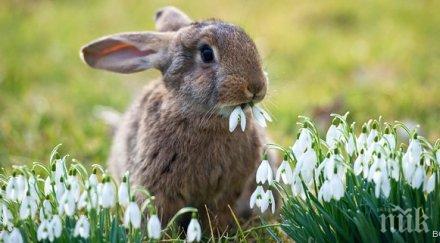 шок водещ уби заек ефира радиопредаване