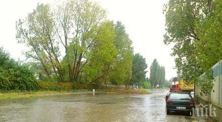 отмениха бедственото положение мездра