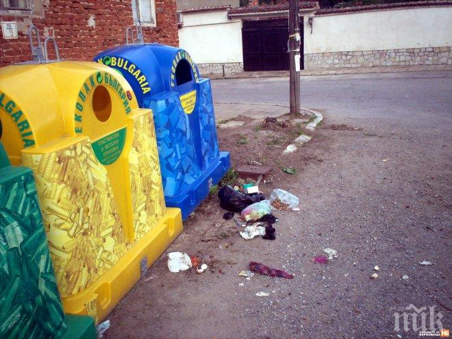 Зловещо! Семейство от Варна откри кучето си застреляно и хвърлено  в контейнер