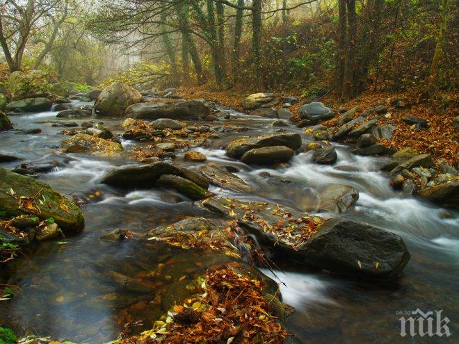 Звуците от планински поток в офиса увеличават производителността