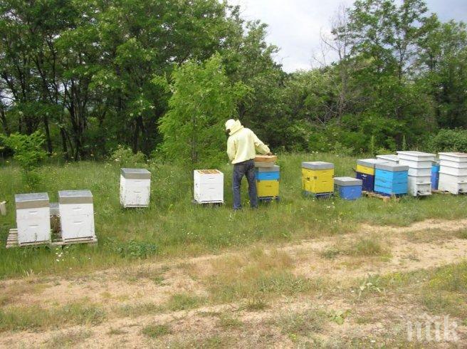 Не се страхувам от крадци – взеха ми всичко