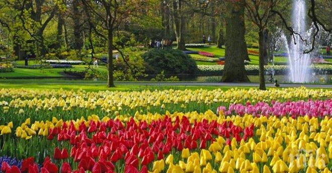 В Южния парк ще се проведе Фестивал на зелените идеи