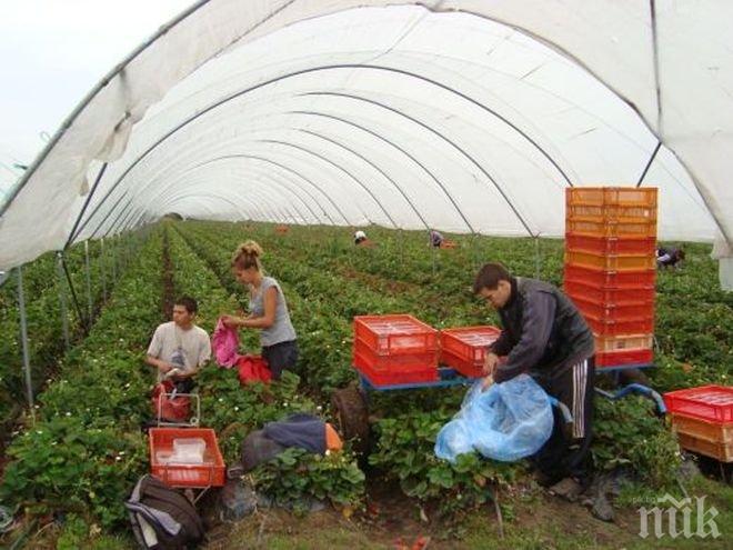 Малките фермери ще получават безплатно консултантски услуги