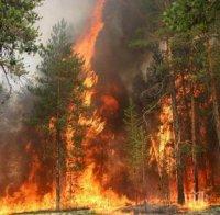 Трета рафинерия спира работа заради горски пожари