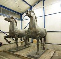 Холандски детектив намерил конете на Хитлер 