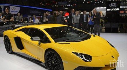 диджей подари котарака lamborghini