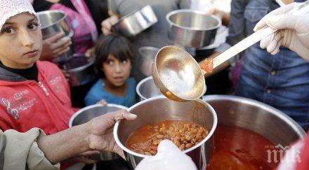 тъжна статистика 795 млн души гладуват света