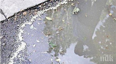 жълтият дъжд шашна столичани вероятно природен феномен