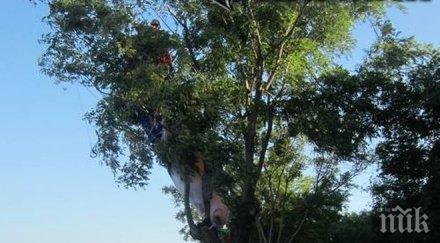 синоптици бан лоши новини пак дъждове мощен вятър времето оправя събота