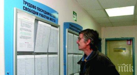 плевенско разкрити 1700 работни места