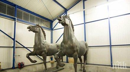 холандски детектив намерил конете хитлер