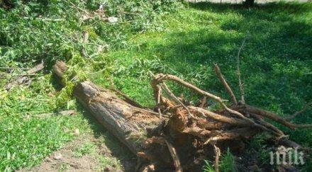 предупреждават силен вятър области страната