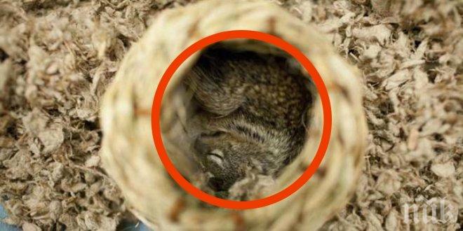 Някои хора намират пари на улицата, но това, което намери този човек, е много по-невероятно!!!