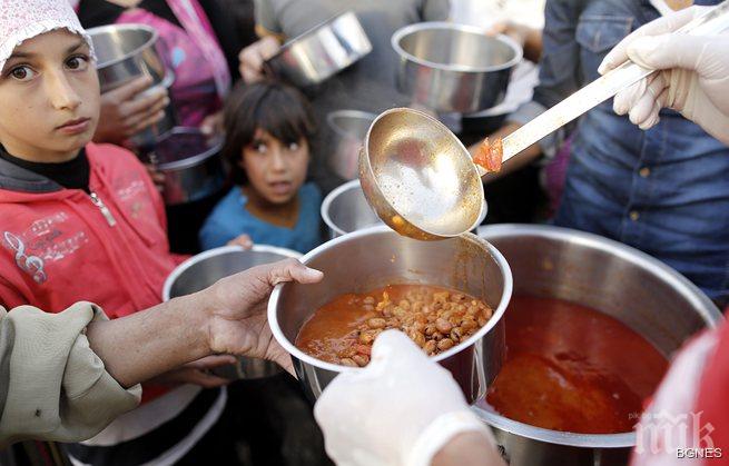 Тъжна статистика: 795 млн. души гладуват по света