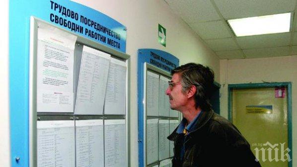 В Плевенско са разкрити над 1700 работни места