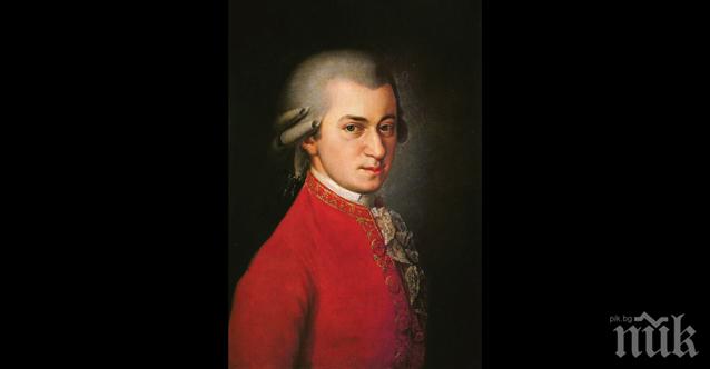 Продават косите на Моцарт и Бетовен на търг