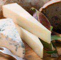 Откриха тайната на дупките в швейцарското сирене
