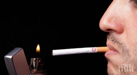 българия второ европа шесто света броя пушачите