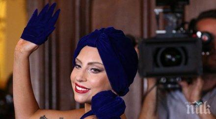 лейди гага създава модна линия кучета