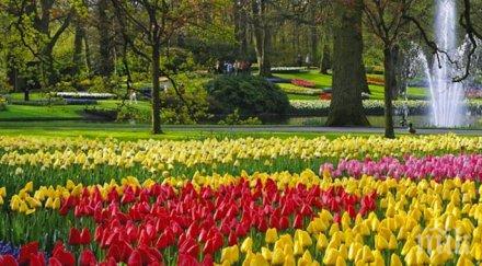 фестивал зелените идеи откриват южния парк