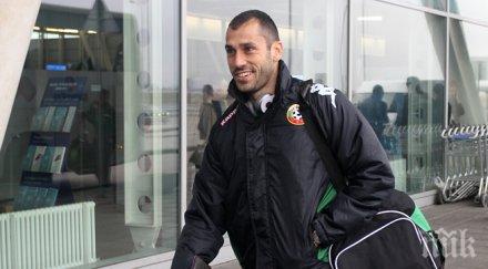 занев продължи договора амкар