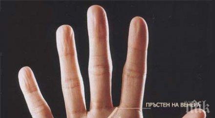 магически тест белязан сте чудото хиромантията означава буквата дланта