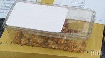 пик русенец изпрати камъни брюксел кметът даде данс