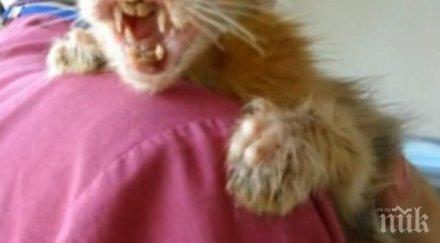 невинно същество намерено кофа боклук инстанбул единственият шанс едно момиченце