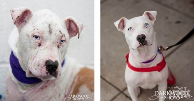 10 зашеметяващи трансформации Преди и След осиновяване