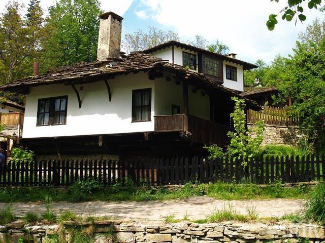 В Боженци се провежда традиционният международен пленер по живопис