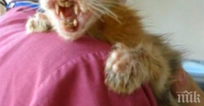 Това невинно същество е намерено в кофа за боклук в Инстанбул. Единственият му шанс е едно малко момиченце