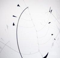 Първа изложба на Александър Калдер в Русия