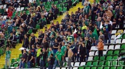 еуфория благоевград футболният пирин завърна група