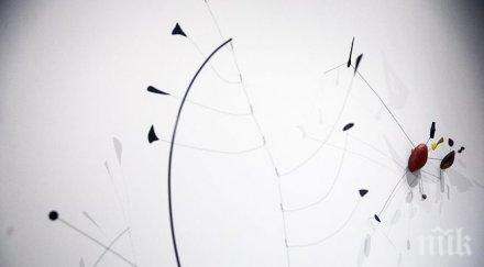 първа изложба александър калдер русия