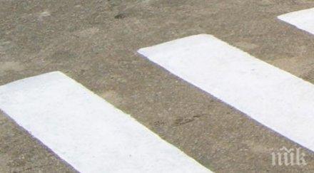 дядо благодари шофьор сгазил зебра все пак убил