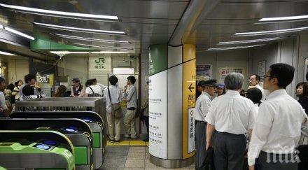 пострадали япония земетресението тихия океан