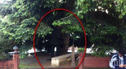 гадост мъж разголи облекчи майки деца пъпа бургас възмути хората