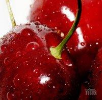 Драстично поевтиняха черешите и ягодите в Пазарджик