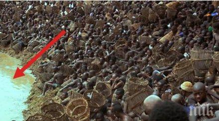 пръв поглед изглеждаше готвят някакво шоу случи изстрела все мога проумея