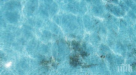 жестоко скарали двама работници заради гафа езерото пловдив