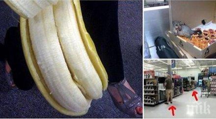 нямаше повярваш уникални неща случили бяха заснети