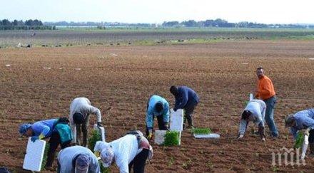 ужас чужбина българите експлоатирани роби работят часа ден мамят парите